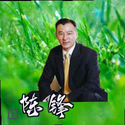 陈锋